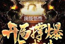 小说《顶级悟性,开局撑爆天赋珠》章节免费阅读-贝壳文学