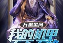 万里星河:我的机甲天下无敌小说,万里星河:我的机甲天下无敌最新章节-贝壳文学