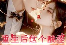 重生后，这个酸涩男神我不追了！小说，重生后，这个酸涩男神我不追了！免费阅读-贝壳文学