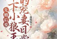 琅斐沈清棠的小说在哪里看?免费在线阅读先婚后爱:年下小狼王的宠妻日常-贝壳文学