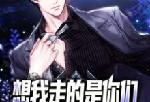 小说《想我走的是你们，求我回来还是你们》章节免费阅读-贝壳文学