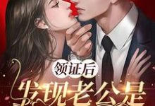 领证后，发现老公是隐藏大佬小说有没有完结版在线？-贝壳文学