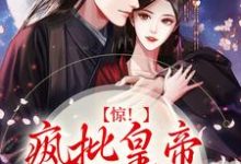 已完结小说《惊！疯批皇帝对我图谋不轨》章节免费阅读-贝壳文学