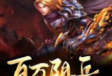 百万阴兵打上天小说阅读，百万阴兵打上天完结版-贝壳文学