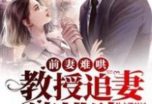 前妻难哄：教授追妻请排队姜予念江叙，前妻难哄：教授追妻请排队最新章节-贝壳文学
