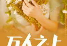 主角叫叶宁林语晗小说万人之上章节免费阅读-贝壳文学