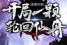 完结版《至尊丹帝：开局一颗轮回仙丹》章节目录在线阅读-贝壳文学