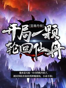 完结版《至尊丹帝：开局一颗轮回仙丹》章节目录在线阅读