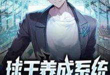 苏魏的小说在哪里看？免费在线阅读球王养成系统：我吊打梅西-贝壳文学