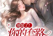 主角叫梁宿梁语的小说在哪阅读-贝壳文学