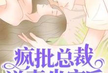 主角叫沈诺陆劲川的小说在哪阅读-贝壳文学