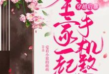 主角叫赵樱桃夜铭轩的小说在哪阅读-贝壳文学