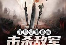 开局觉醒系统，击杀敌军就能变强小说无弹窗阅读的网站推荐-贝壳文学