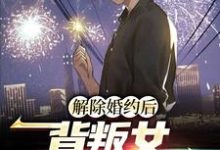小说《解除婚约后,背叛女她后悔了》在线章节阅读-贝壳文学