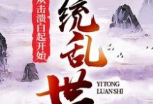 《一统乱世：从击溃白起开始》小说主角赵括田婉章节章节免费在线阅读-贝壳文学