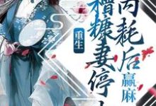 重生：糟糠妻停止内耗后，赢麻小说最新章节在哪里可以读到？-贝壳文学