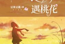 途中遇桃花小说完结版章节免费阅读-贝壳文学