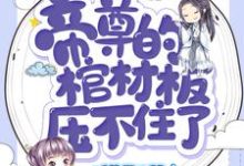 已完结小说《帝尊的棺材板压不住了》在线章节阅读-贝壳文学