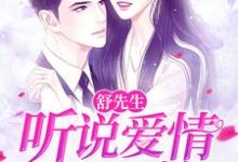 完结版《舒先生，听说爱情没时差》章节阅读-贝壳文学