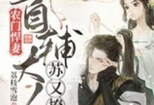 农门悍妻：首辅大人苏又撩小说，农门悍妻：首辅大人苏又撩在线阅读-贝壳文学
