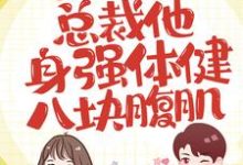 求 苏沫璃君寒桀小说免费资源-贝壳文学