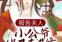 报告夫人，小公爷他又去进修男德了免费阅读，报告夫人，小公爷他又去进修男德了章节目录-贝壳文学