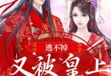 逃不掉！又被皇上锁腰宠了小说最新更新在哪里？免费在线看-贝壳文学