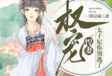 求权宠悍妻：太子妃你别逃了小说免费资源-贝壳文学