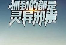 陈子夜小说在哪里可以看-贝壳文学