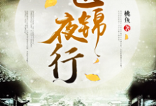 哪里能找到医锦夜行小说的最新更新和免费章节？-贝壳文学