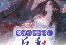 主角叫陶夭夭夏荼白的小说在哪阅读-贝壳文学