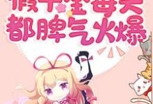 主人公言之之宁安安小说快穿：假千金每天都脾气火爆在线章节阅读-贝壳文学