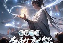 主人公叫曹武的小说快穿三国：杀敌就能捡取属性在线阅读章节-贝壳文学