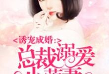 总裁溺爱小萌妻小说最新章节在哪里可以读到？-贝壳文学