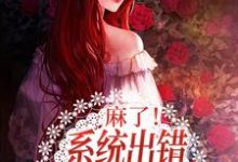 小说《麻了！系统出错，我穿到了盲盒里》章节阅读-贝壳文学