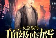女总裁的顶级废婿小说的无弹窗阅读体验,寻找免费阅读网站-贝壳文学