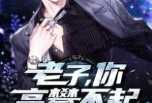 小说《老子，你高攀不起》在线章节阅读-贝壳文学