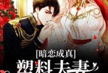 小说《暗恋成真：塑料夫妻假戏真做》在线章节阅读-贝壳文学