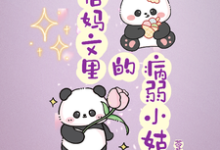后妈文里的病弱小姑小说,后妈文里的病弱小姑免费阅读-贝壳文学