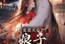 小说《宠妻灭妾？娘子，我不会啊》章节免费阅读-贝壳文学