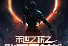 石小天吴莉小说叫什么（末世之旅之我不是英雄免费阅读）-贝壳文学