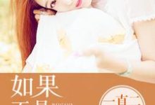 如果不是我爱你娄沁习彦烈洛央江汝飞,如果不是我爱你小说免费阅读-贝壳文学