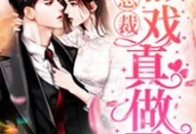 免费看跟总裁假戏真做了小说的网站有哪些？-贝壳文学