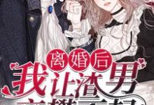 《离婚后，我让渣男高攀不起》全集免费在线阅读（唐婉凉韩景初）-贝壳文学