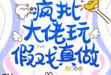 哪里可以免费读到林浅褚辰佑的完整故事?寻找假结婚,疯批大佬玩假戏真做?-贝壳文学