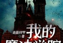 我的魔法学院小说阅读，我的魔法学院完结版-贝壳文学