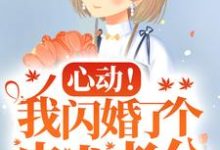 心动！我闪婚了个忠犬老公楼阮小说在线章节免费阅读-贝壳文学