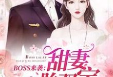 BOSS来袭：甜妻一胎双宝小说，BOSS来袭：甜妻一胎双宝最新章节-贝壳文学