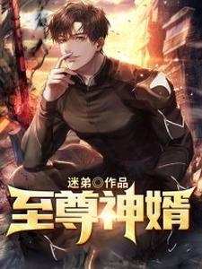 至尊神婿小说，至尊神婿在线阅读