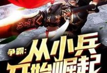 主角 赢子仪宇文婵衣小说完结版在线阅读,争霸:从小兵开始崛起免费看-贝壳文学